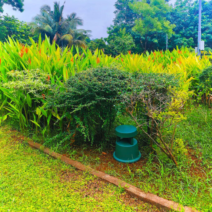 gar 66 garden 2